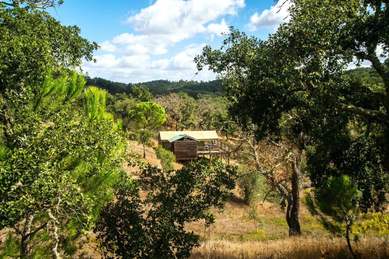 Figueirinha Ecoturismo Pensionat Monte da Estrada Eksteriør billede