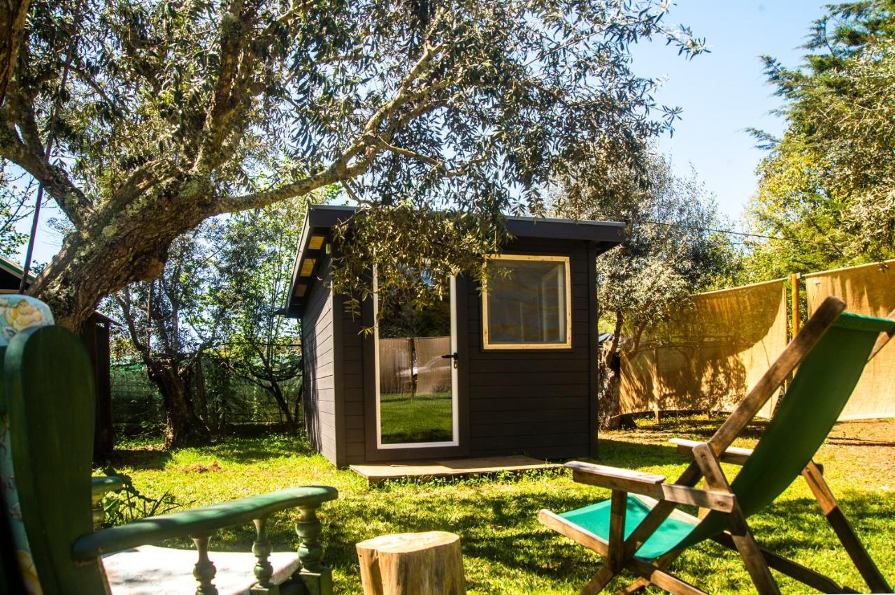 Figueirinha Ecoturismo Pensionat Monte da Estrada Eksteriør billede