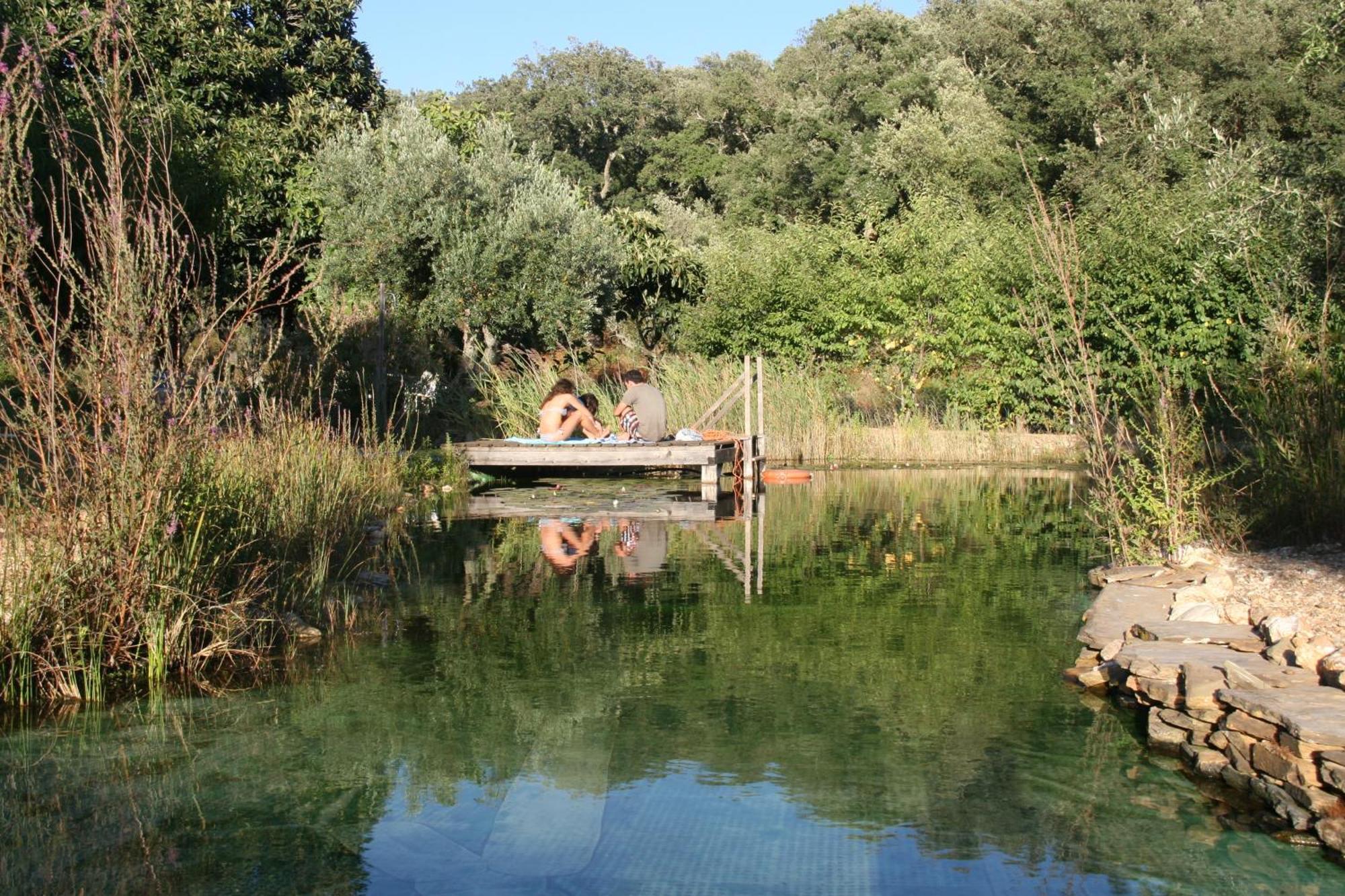 Figueirinha Ecoturismo Pensionat Monte da Estrada Eksteriør billede