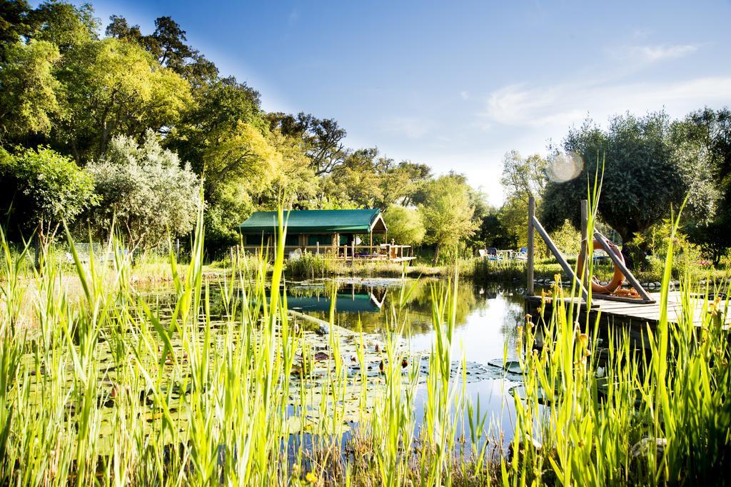 Figueirinha Ecoturismo Pensionat Monte da Estrada Eksteriør billede